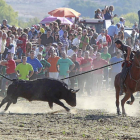 Un toro embiste a uno de los caballistas participantes en el encierro de campo celebrado ayer en Mojados.-J. M. Lostau