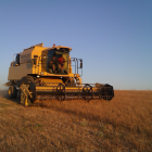 Dos agricultores trabajan en una parcela destinada al cultivo de camelina en la localidad burgalesa de Hontoria de Valdearados.-CAMELINA COMPANY ESPAÑA
