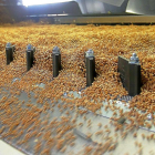 Procesado del grano en la mesa densimétrica que elimina las impurezas y malas hierbas en el Centro de Alto Rendimiento de Agropal.-BRÁGIMO