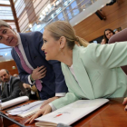 Cristina Cifuentes, en la Asamblea.-JOSE LUIS ROCA