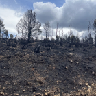 Más de 30.800 hectáreas de masa forestal se han quemado en el incendio de la Sierra de la Culebra, en Zamora.- E. M.