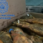 Jamones recuperados durante la operación.-EUROPA PRESS