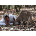 Frank Cuesta, en una imagen de su nueva aventura australiana de 'Wild Frank', en el canal DMax.-