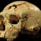 El cráneo, con dos orificios, de la víctima del primer asesinato documentado de la historia, hace 430.000 años, en Atapuerca.-SCIENTIFIC FILMS / JAVIER TRUEBA