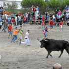 Toro de la Vega durante el Torneo en la localidad de Tordesillas en una imagen de archivo.-S. G. C.