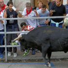 El astado golpea la talanquera justo en el momento en el que el cortador se mete en ella durante el segundo encierro de Cuéllar.-ICAL