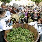 Tres niños arrojan uvas a un lagar en una anterior edición de la Fiesta de la Vendimia de Rueda.-J.M. LOSTAU