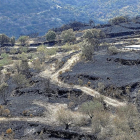 Una de las zonas afectadas por el incendio del pasado verano en Zamora.-ICAL