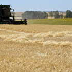 Cosechadora en un campo de cereal de la provincia de Zamora-Ical