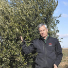 nrique Gómez, director técnico y copropietario de Oligueva, posa en la finca donde cultivan 20 hectáreas de olivo.-
