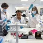 Alberto Acebo y su equipo, durante la creación de un test contra el coranvirus a partir de la secuencia de genes. J.M. LOSTAU