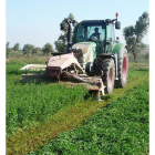 Un agricultor trabaja en su explotación ecológica destinada al cultivo de alfalfa deshidratada.-AEFA