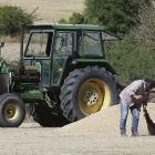 Agricultores y ganaderos se ven afectado por estas «prácticas abusivas» según UCCL.-RAÚL G. OCHOA