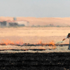Un agricultor realiza labores de quema rastrojos en Fresno El Viejo, una práctica autorizada de forma excepcional para atajar algunas plagas.-ICAL