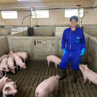 Marta Llorente posa en su granja de 2.000 cerdas de cebo de capa blanca que tiene en integración con Agrocesa. ECB