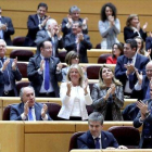 Imagen de archivo de la bancada del Grupo Popular en el Senado.-KIKE HUESCA (EFE)