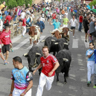 Varios corredores delante de los toros durante un encierro celebrado en Íscar el pasado mes de agosto-J.M.Lostau
