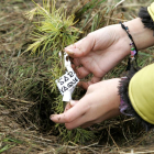 Acto de plantación de árboles con motivo de la jornada de sensibilización medioambiental.-ICAL