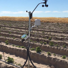 Sistema instalado en la cooperativa Cobella (Fresa, frambuesa y arándanos) en Ávila, para disponer de información de clima y riego.-E.M.