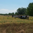 Un grupo de agricultores observa los avances de los campos de ensayo en Fresnillo de las Dueñas.-CAJA RURAL DE BURGOS