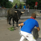 Un joven tienta a un astado en las calles de Tudela durante la celebración en la jornada de ayer del Toro del Alba.-EL MUNDO