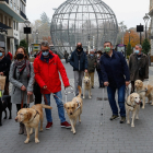 Usuarios de perros guía este lunes en Valladolid / LOSTAU
