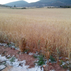 La tormenta llegó de modo inesperado y descargó con extrema crudeza.-M.A.L.B.