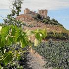 Vista del castillo de Peñafiel que acoge el Museo Provincial del Vino.-EL MUNDO