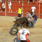 Peñistas esquivan la embestida de una vaquilla, ayer en el gran prix de las fiestas de Cigales.-EL MUNDO