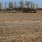 Imagen de un campo de alfalfa prácticamente seco tomada ayer en la localidad palentina de Capillas.-BRÁGIMO