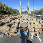 Un pastor sostiene su vara sobre los hombros tras cruzar el Puente de la Hispanidad.-J. M. LOSTAU