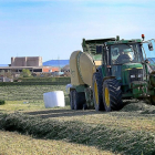 Un agricultor maneja su tractor durante el empacado de trigo verde destinado a forraje en Fuentes de Valdepero (Palencia).-BRÁGIMO