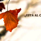 Imagen promocional de Salvados sobre el 1-O-ATRESMEDIA