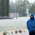 Un hombre pasea por un parque de Valladolid lleno de cencellada.-J.M. LOSTAU