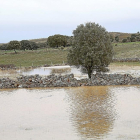 El temporal ‘Gisela’ provoca inundaciones ayer en Tardobispo (Zamora).-ICAL