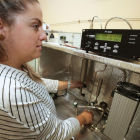 Una investigadora trabaja en un laboratorio ubicado en el Campus Miguel Delibes de la Universidad de Valladolid.-EL MUNDO