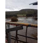 Explotación ganadera afectada por las riadas a causa del temporal.-ASAJA PALENCIA