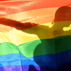 Un manifestante tras la bandera arcoiris en la Gay Parade de Kiev, en el 2013.-SERGEI SUPINSKY
