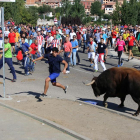 Encierro del Toro de la Vega.-ICAL