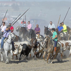 Varios caballistas acompañando al toro en la parte del encierro que tuvo lugar en el campo.-J.M. LOSTAU