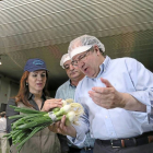 Juan Vicente Herrera se puso ayer el chaleco de ‘faena’ y aprendió a «plantar el plantón del puerro». El candidato del PP visitó primero Sepúlveda y, después, una fábrica de hortalizas en Gomezserracín, junto a la número uno a las Cortes, Silvia Clemente.-El Mundo