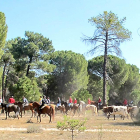 Trashumancia ilegal en la Cañada Real Burgalesa, el pasado sábado. Todo un encierro con 50 caballistas.-GUARDIA CIVIL