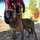 El perro rescatado por la dotación de Bomberos de Valladolid-EUROPA PRESS