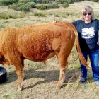 María Ángeles Hernández, con una de las vacas de su explotación en la vertiente norte de Gredos.-E. M.