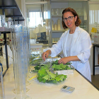 Trinidad Peña, responsable del Laboratorio de INEA, analiza unas muestras recibidas.-M.C.