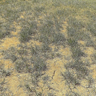 Imagen de una tierra afectada por la sequía-EL MUNDO