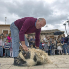 El público contempla el esquileo de una oveja en una anterior edición de la Feria de los Oficios.-PHOTOGENIC