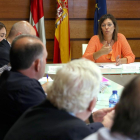 La consejera de Agricultura y Ganadería y portavoz de la Junta, Milagros Marcos, preside el Comité de Cooperativismo Agrario de Castilla y León.-ICAL