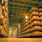Sala de barricas donde se elabora el vino de crianza en una bodega de Castilla y León.-EL MUNDO