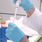 David Rodríguez Lázaro, profesor titular y director del área de Microbiología de la Universidad de Burgos.-E. M.